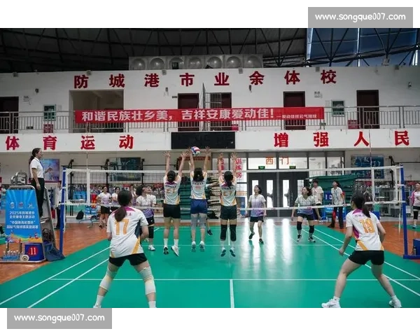 聚焦全球排球赛事发展趋势与竞技魅力全面解析与精彩瞬间回顾